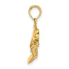 Gold Polished Dolphin Pendants