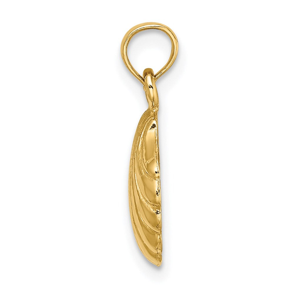 Gold Polished Sea Shell Pendants