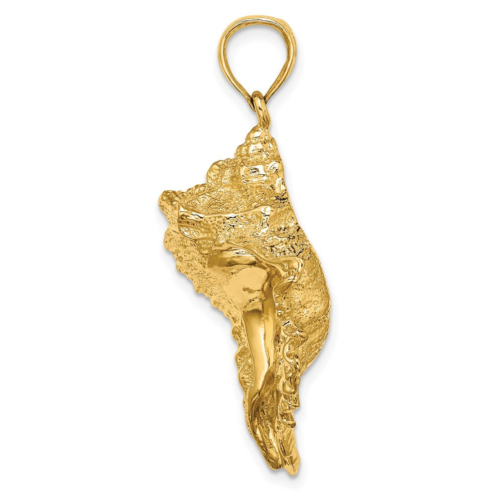 Gold Polished Sea Shell Pendants