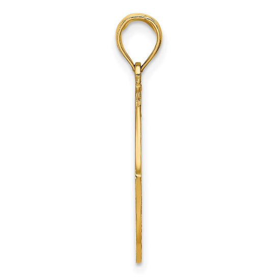 14K LONG BEACH ISLAND with Dolphins Charm