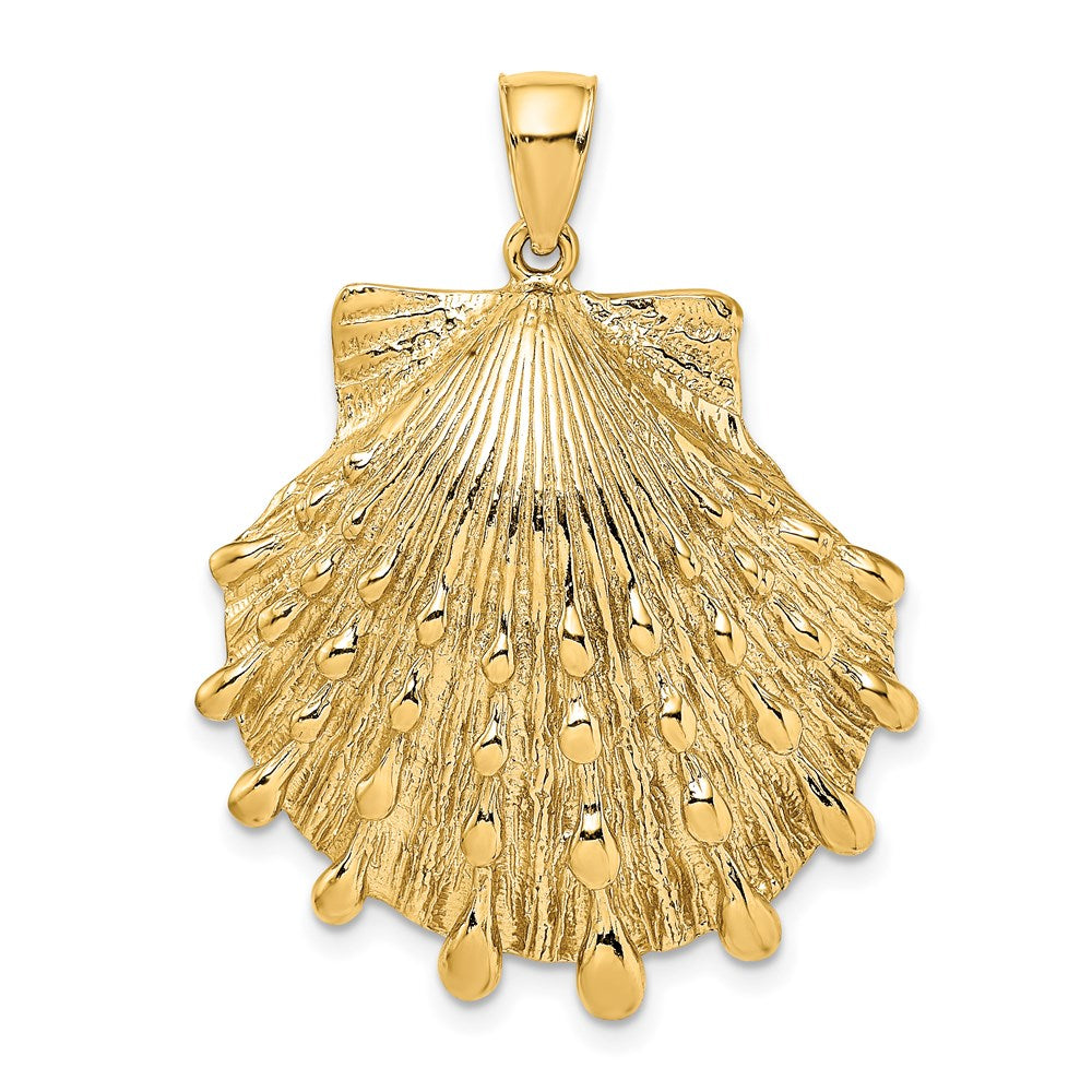 Gold Polished Sea Shell Pendants
