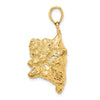 Gold Polished Sea Shell Pendants