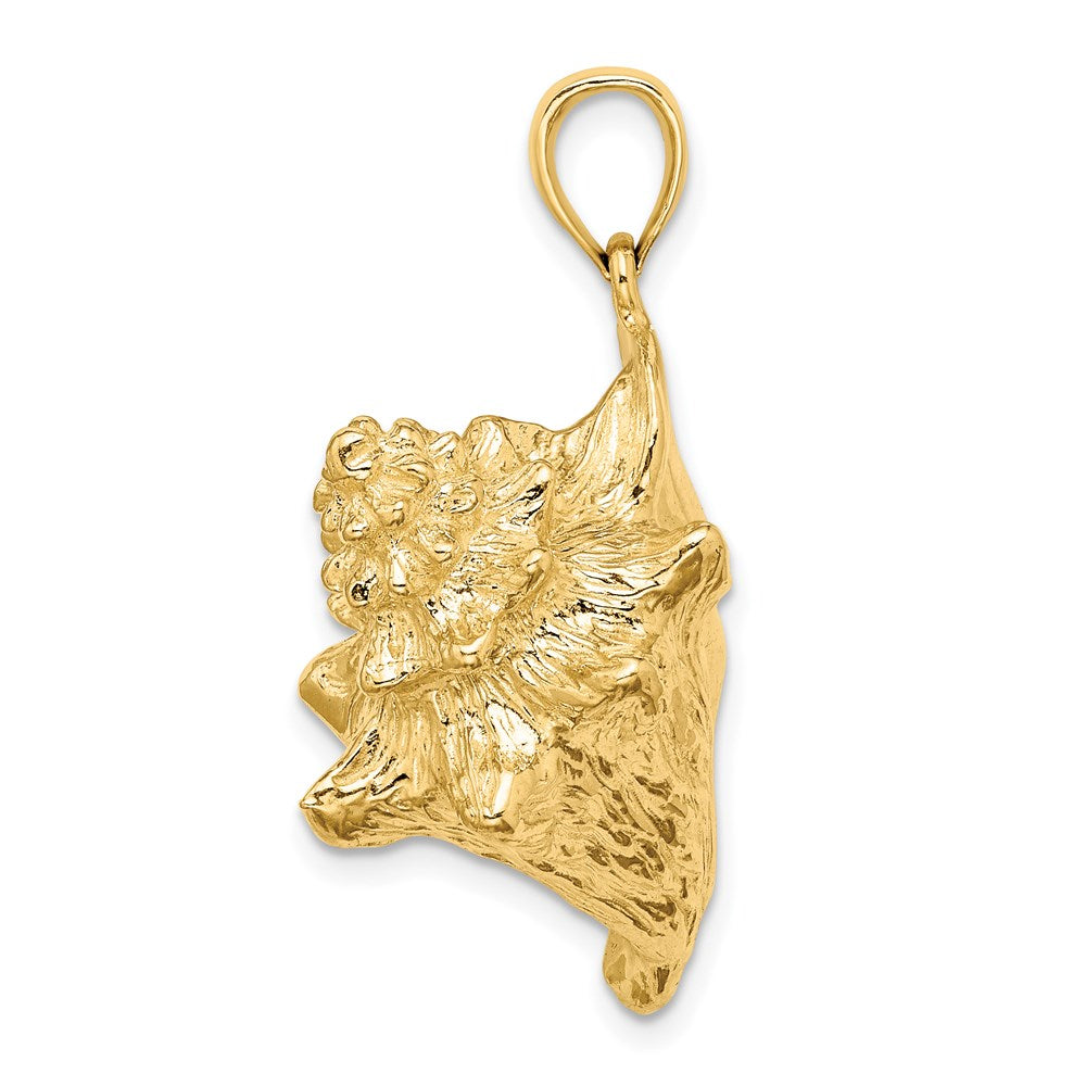Gold Polished Sea Shell Pendants