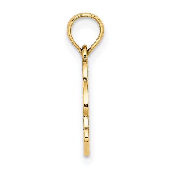 14K Textured NAGS HEAD with Dolphin Charm