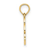 14K Textured NAGS HEAD with Dolphin Charm