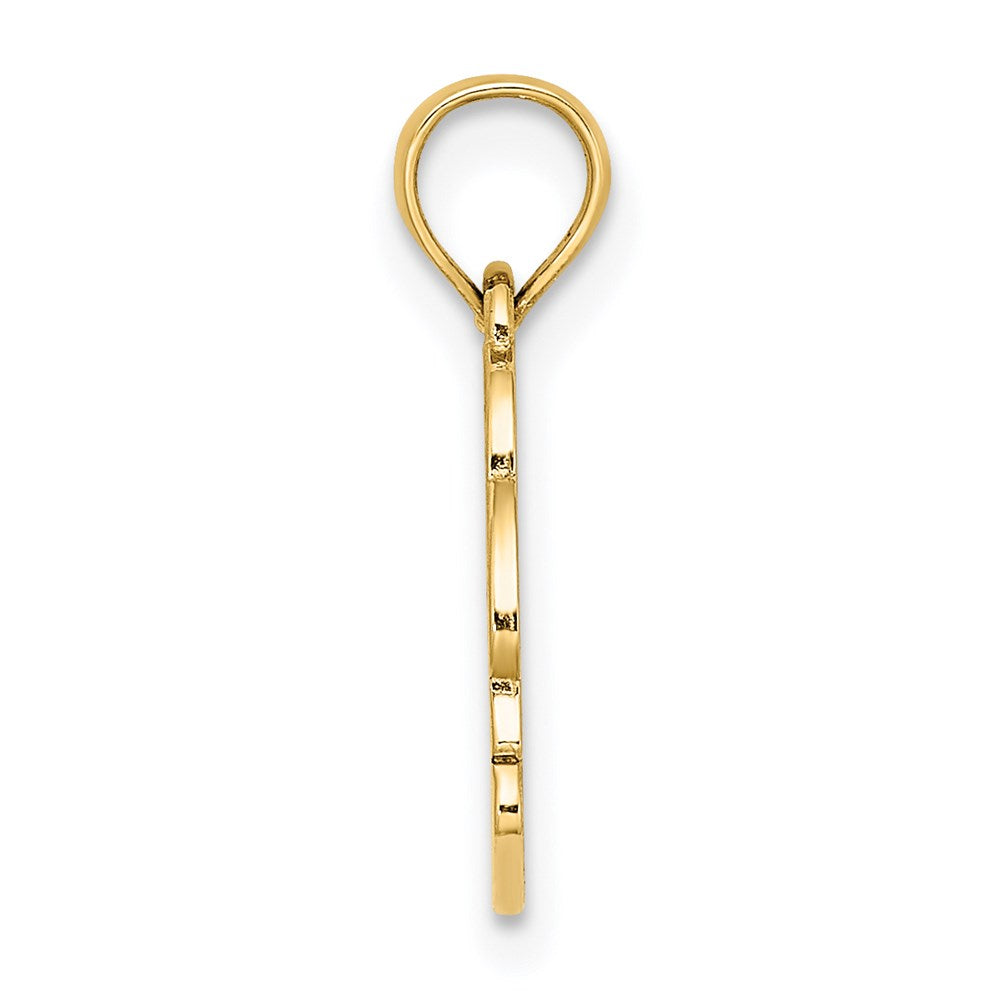 14K Textured NAGS HEAD with Dolphin Charm