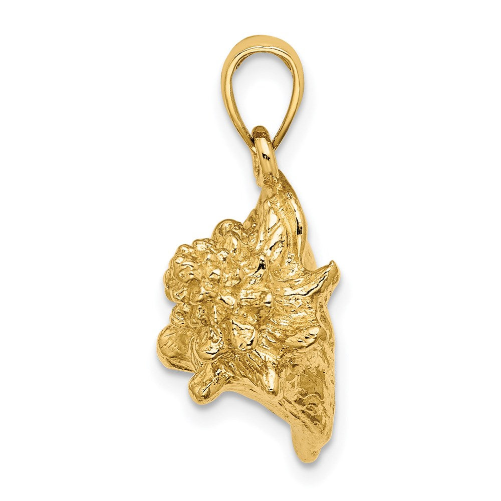 Gold Polished Sea Shell Pendants