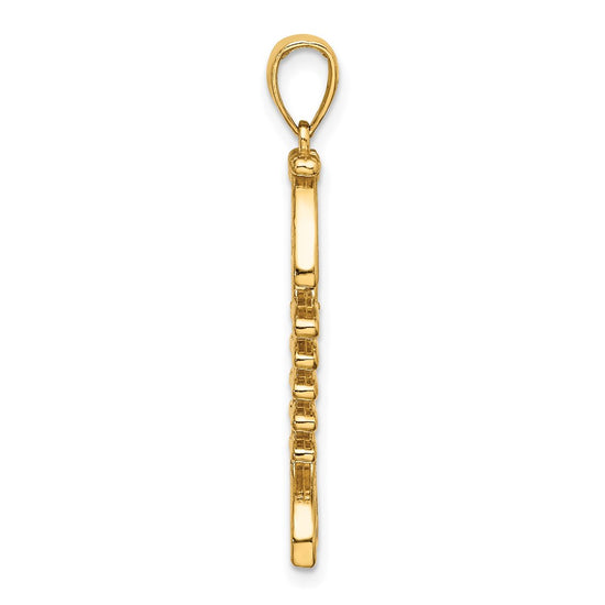14K 3-D Polished and Textured Fishbone Charm