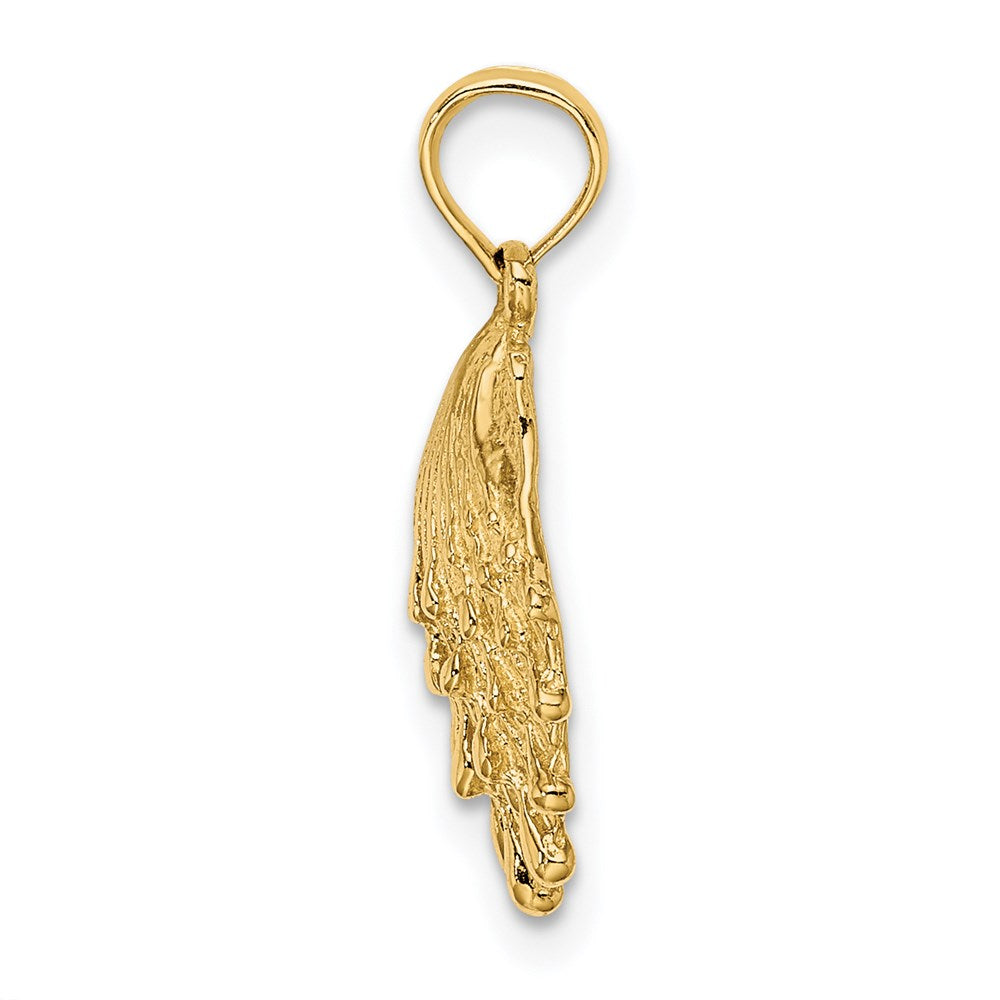 Gold Polished Sea Shell Pendants
