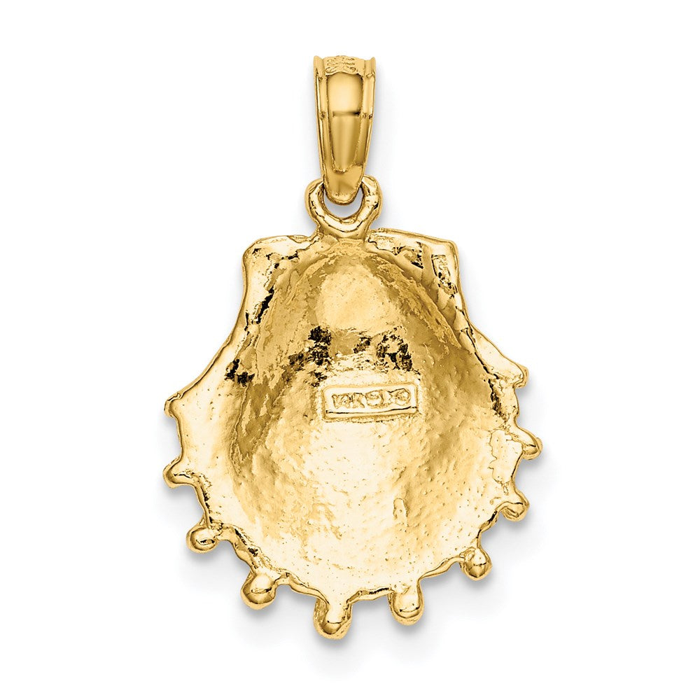 Gold Polished Sea Shell Pendants