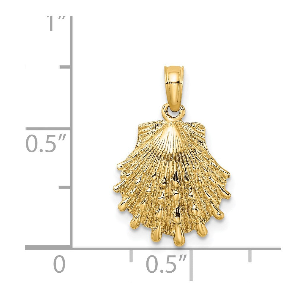Gold Polished Sea Shell Pendants