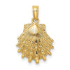 Gold Polished Sea Shell Pendants