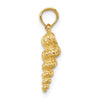 Gold Polished Sea Shell Pendants