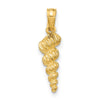 Gold Polished Sea Shell Pendants
