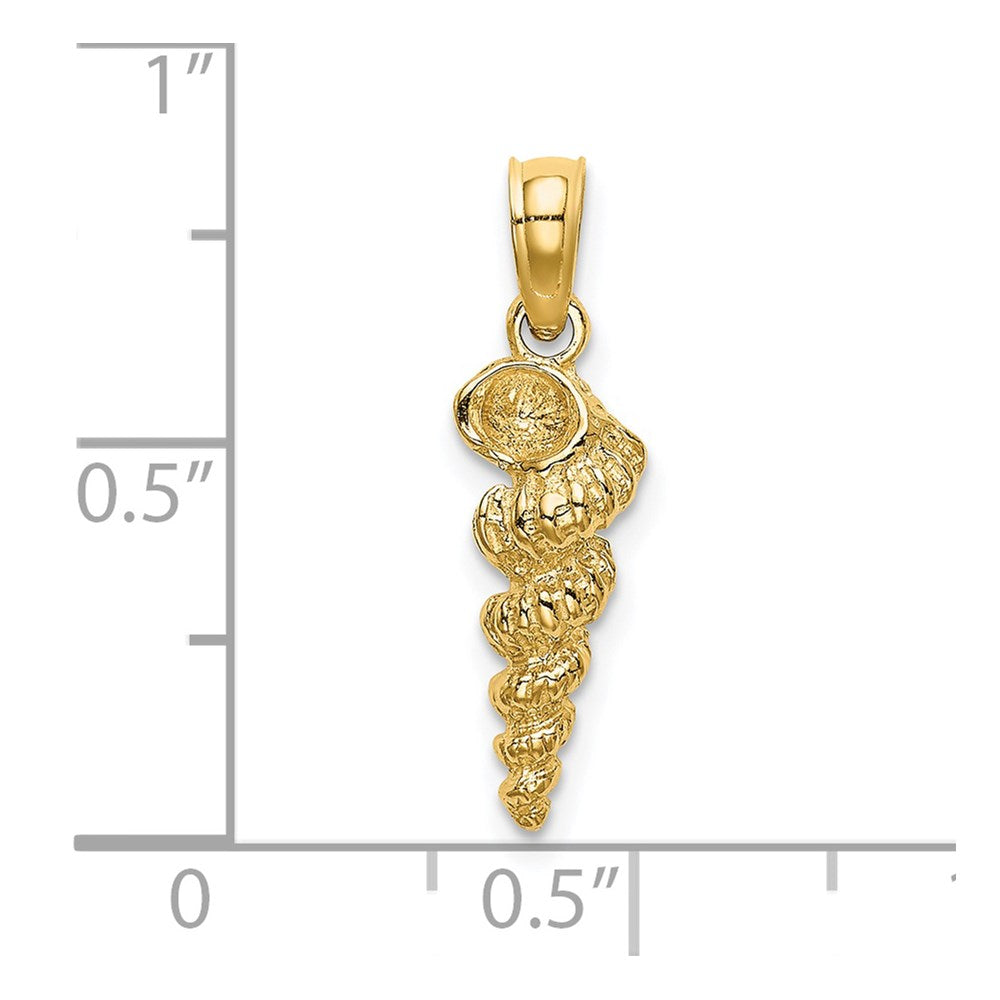 Gold Polished Sea Shell Pendants
