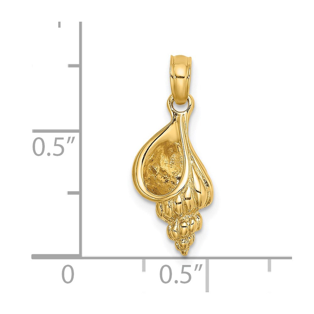 Gold Polished Sea Shell Pendants