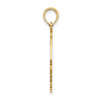 14K Polished Cut-Out ARUBA Under Angelfish Charm