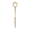 14K Polished CURACAO Under Angelfish Charm