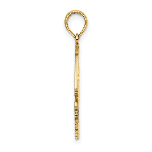 14K Polished CURACAO Under Angelfish Charm
