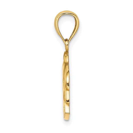 14K Polished BARBADOS Dolphin Charm