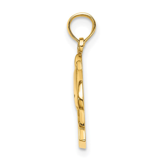 14K 2-D CURACAO Under Polished Dolphin Charm