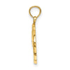 14K 2-D CURACAO Under Polished Dolphin Charm