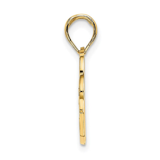 14K SAN DIEGO Banner Dolphins Charm