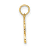 14K Polished and Textured TRY JESUS Charm