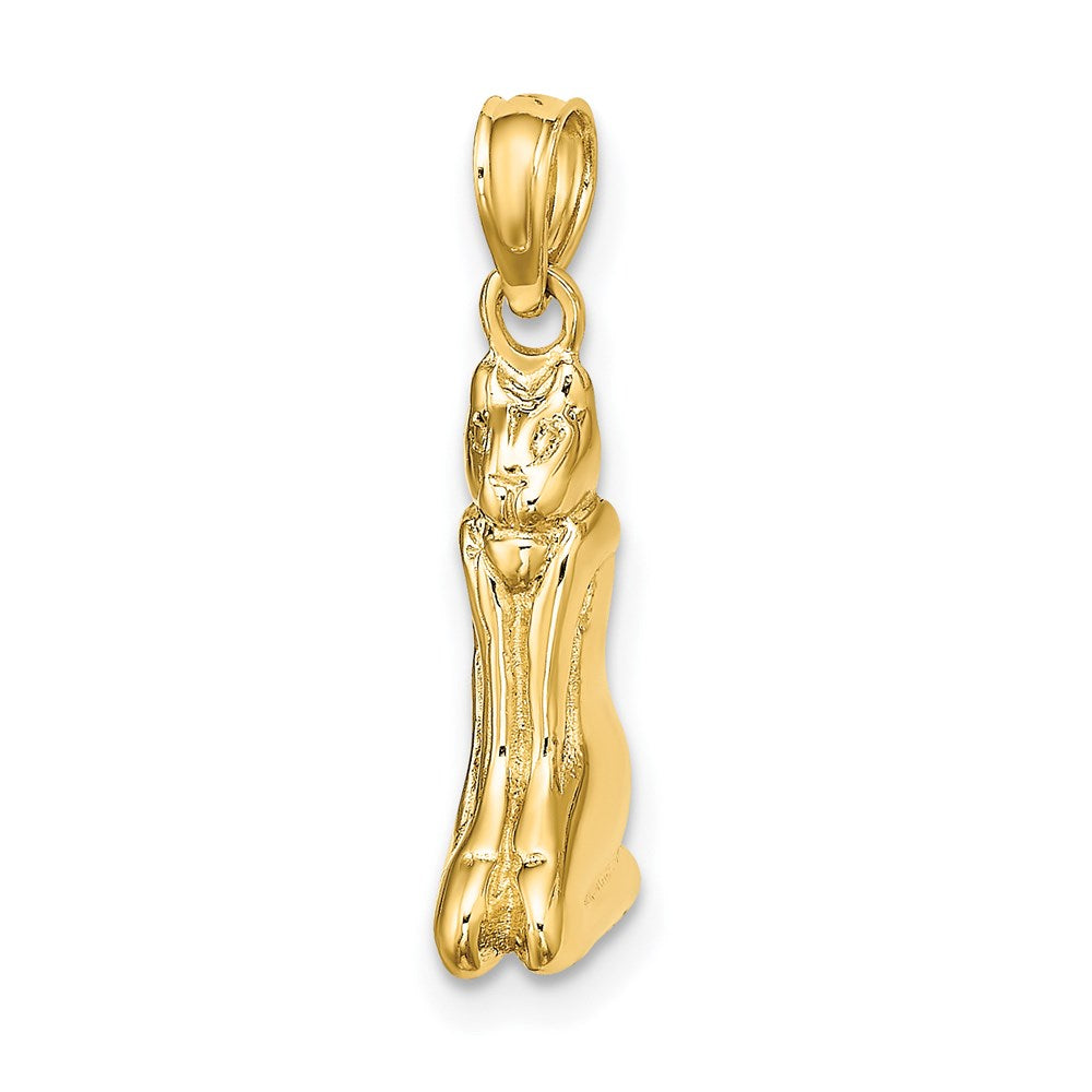 14K 3-D Polished MARCO ISLAND Cat Charm