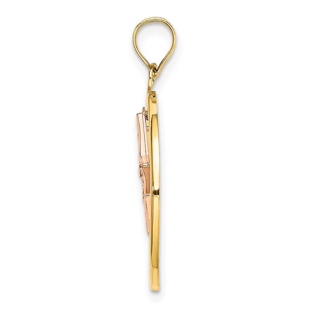 14k Two-tone with White Rhodium Star Dangle in Circle Moveable Charm