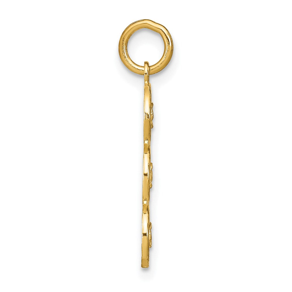 14k and White Rhodium Diamond-cut 3-Circle Charm