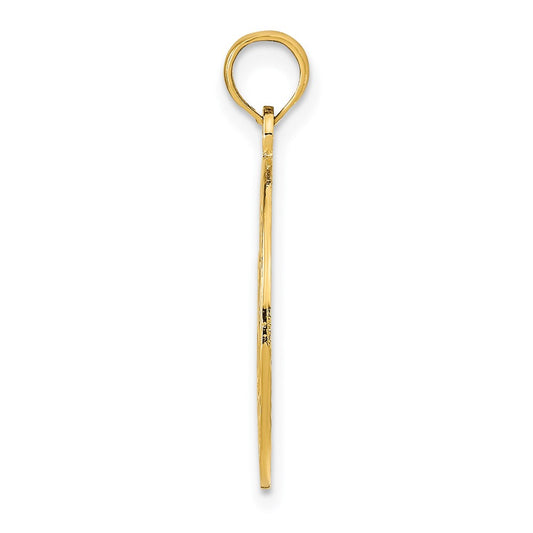 14K MARCO ISLAND with Dolphins Circle Pendant