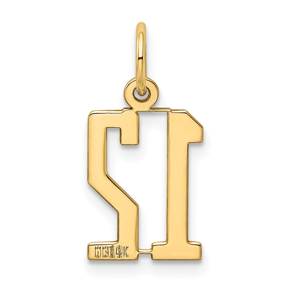 14k Small Elongated Number 12 Charm