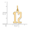 14k Small Elongated Number 12 Charm