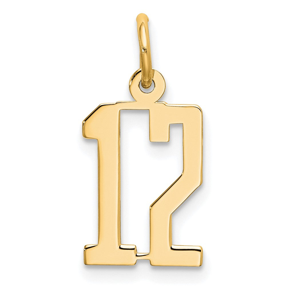 14k Small Elongated Number 12 Charm