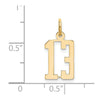 14k Small Elongated Number 13 Charm