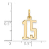 14k White Gold Small Elongated Number 15 Charm