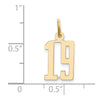 14k Small Elongated Number 19 Charm