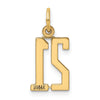 14k Small Elongated Number 21 Charm