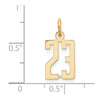 14k Small Elongated Number 23 Charm