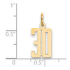 14k Small Elongated Number 30 Charm