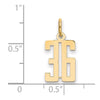 14k Small Elongated Number 36 Charm