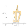 14k Small Elongated Number 37 Charm