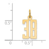 14k Small Elongated Number 38 Charm