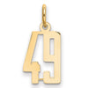 14k Small Elongated Number 49 Charm