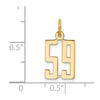 14k Small Elongated Number 59 Charm