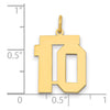 14k Medium Polished Number 10 Charm