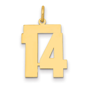 14k Medium Polished Number 14 Charm