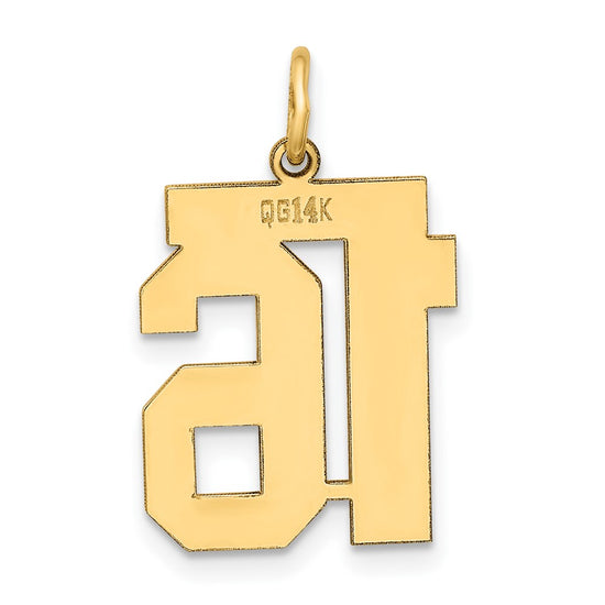 14k Medium Polished Number 16 Charm