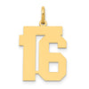 14k Medium Polished Number 16 Charm